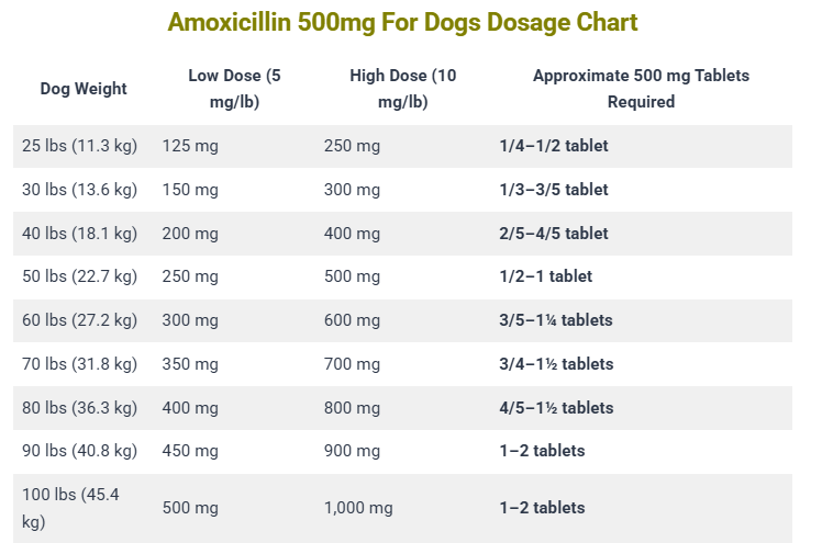 Amoxicillin 500mg For Dogs Dosage Chart