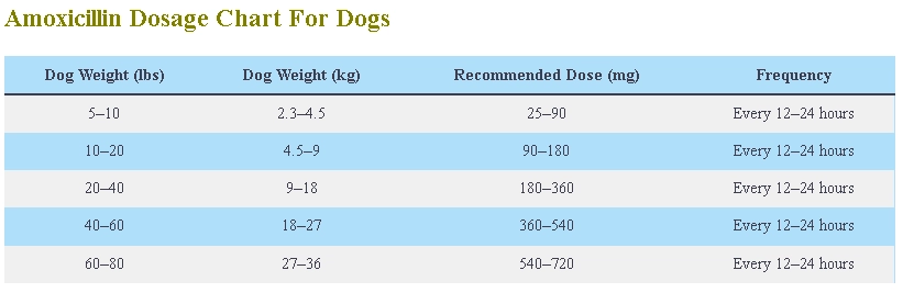 Amoxicillin For Dogs Dosage Chart