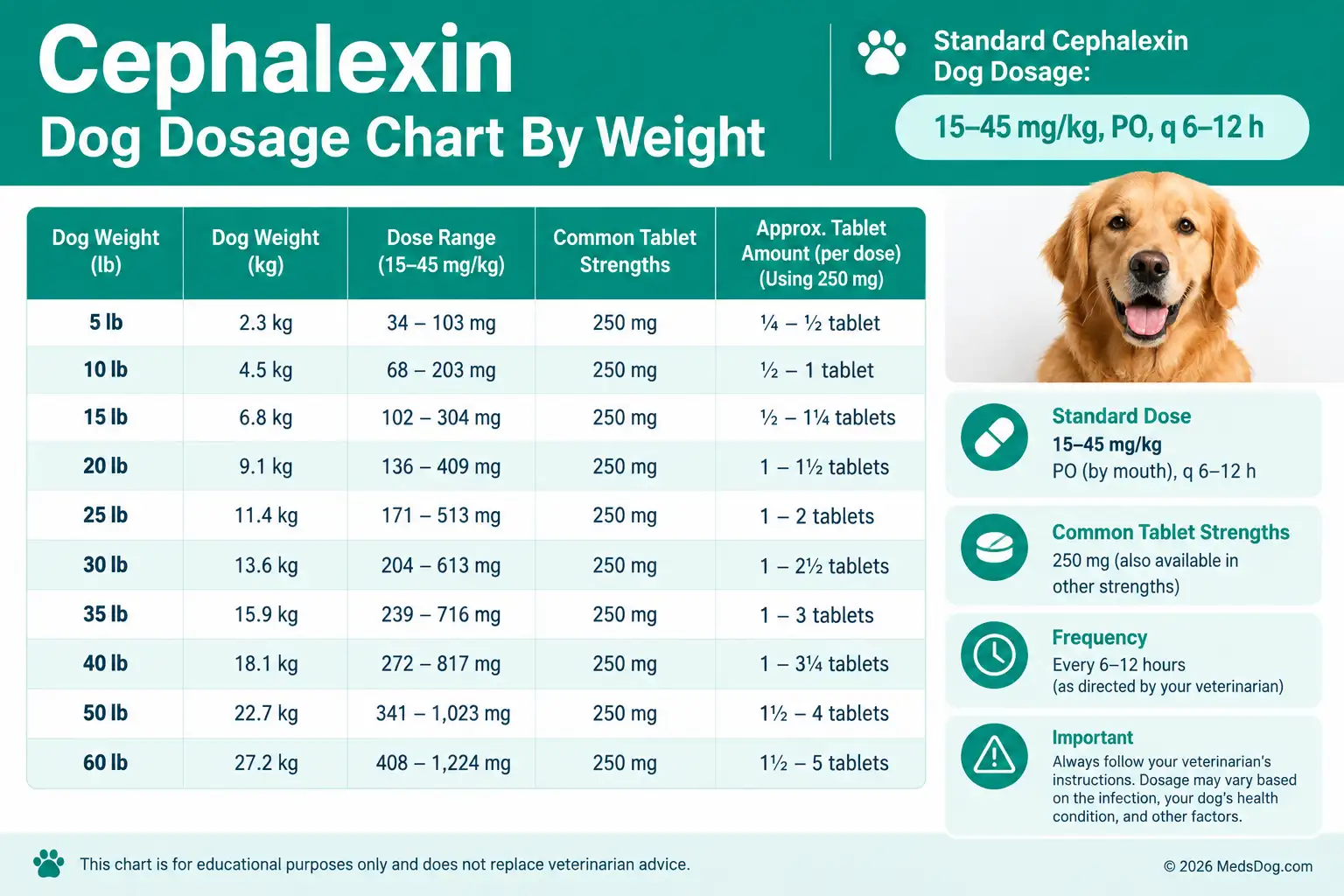 Cephalexin Dog Dosage Chart by Weight