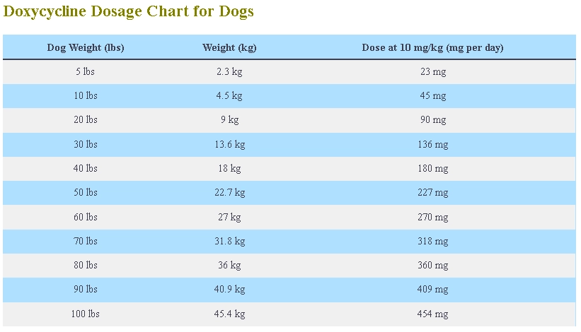 Doxycycline For Dogs Dosage Chart