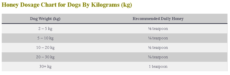 Honey For Dogs Dosage
