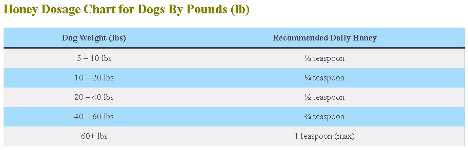Honey For Dogs Dosage