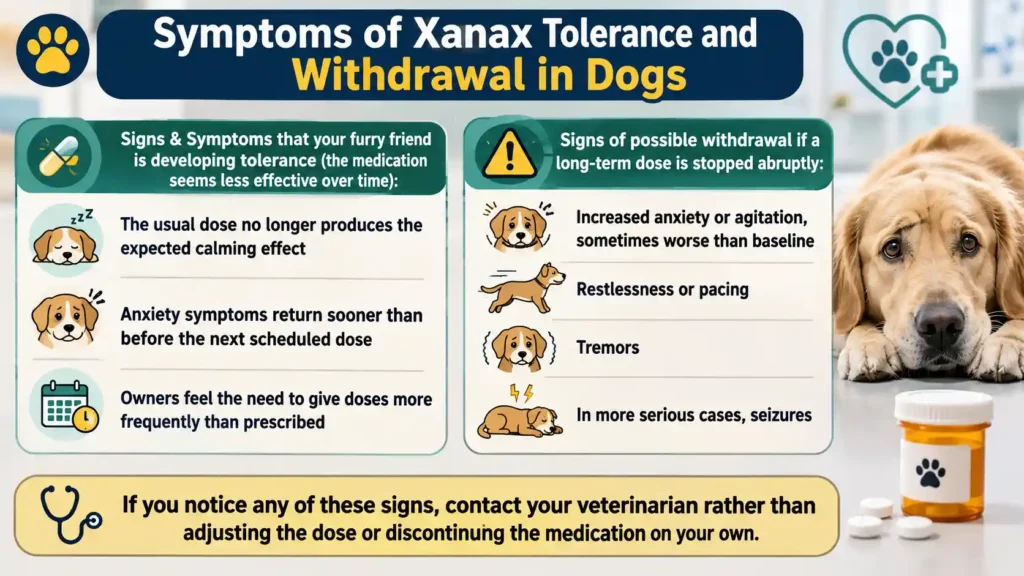 Symptoms of Xanax Tolerance and Withdrawal in Dogs