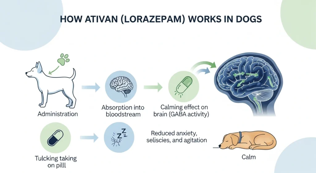 Ativan For Dogs Dosage Chart by Weight