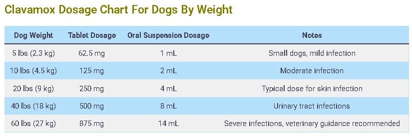 Clavamox Dosage Calculator For Dogs