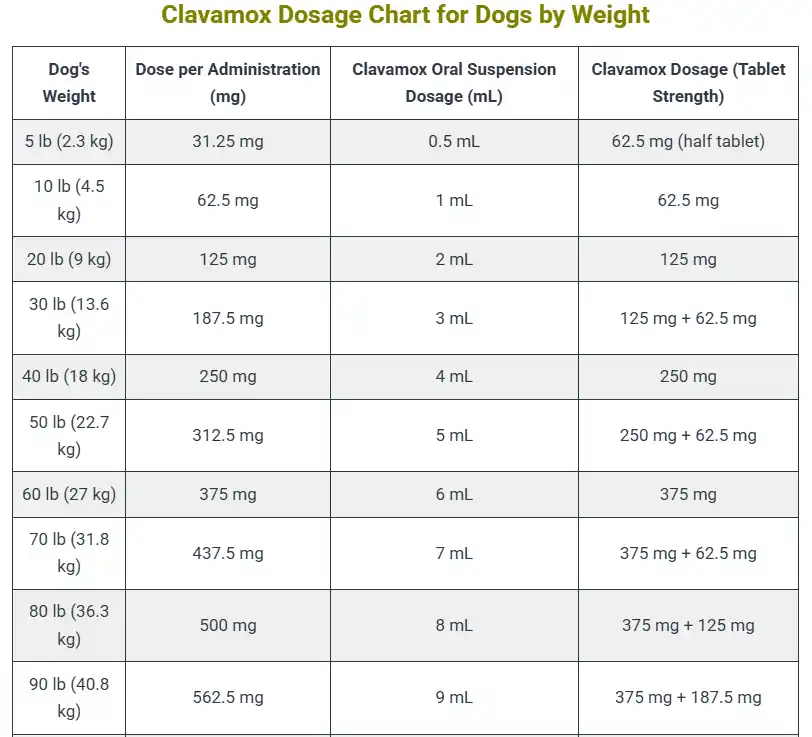 Clavamox Dosage Calculator For Dogs: Chart & Safe Guide 3 Clavamox Dosage Chart for Dogs by Weight