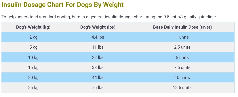 Insulin Dosage Calculator For Dogs