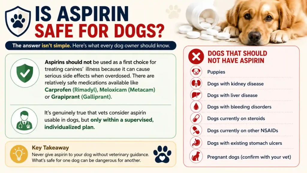 Is Aspirin Safe for Dogs
