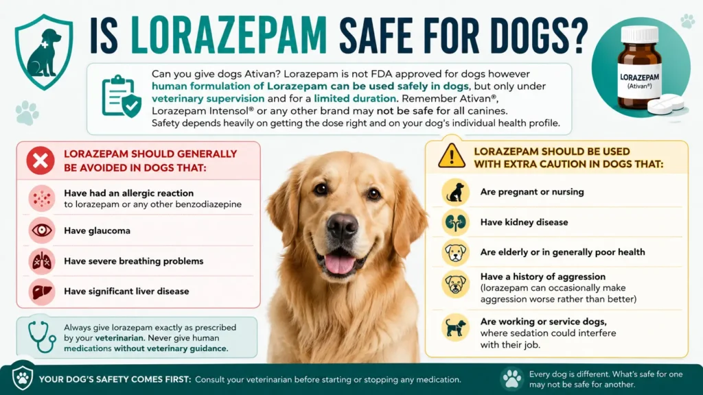 Lorazepam Ativan For Dogs Dosage Calculator & Dosing Chart 2 Is Lorazepam Safe for Dogs