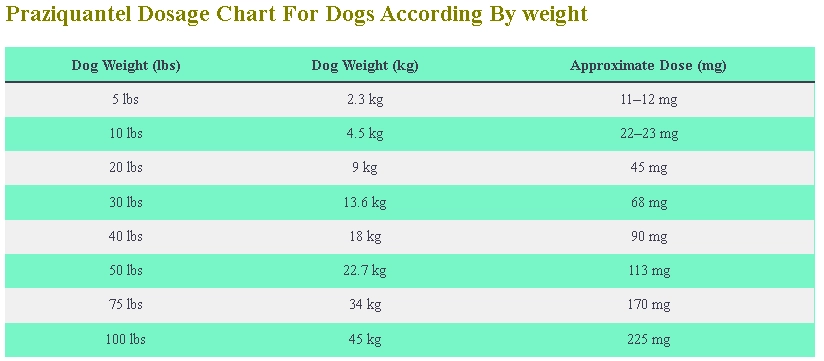Praziquantel Dosage Calculator For Dogs