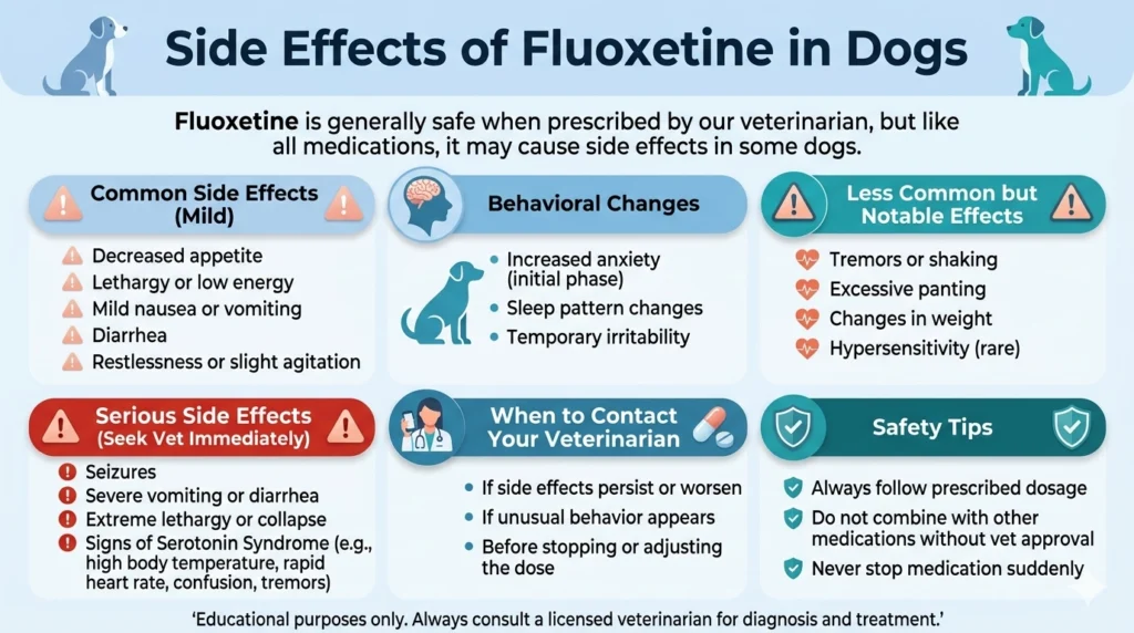 Side Effects of Fluoxetine in Dogs