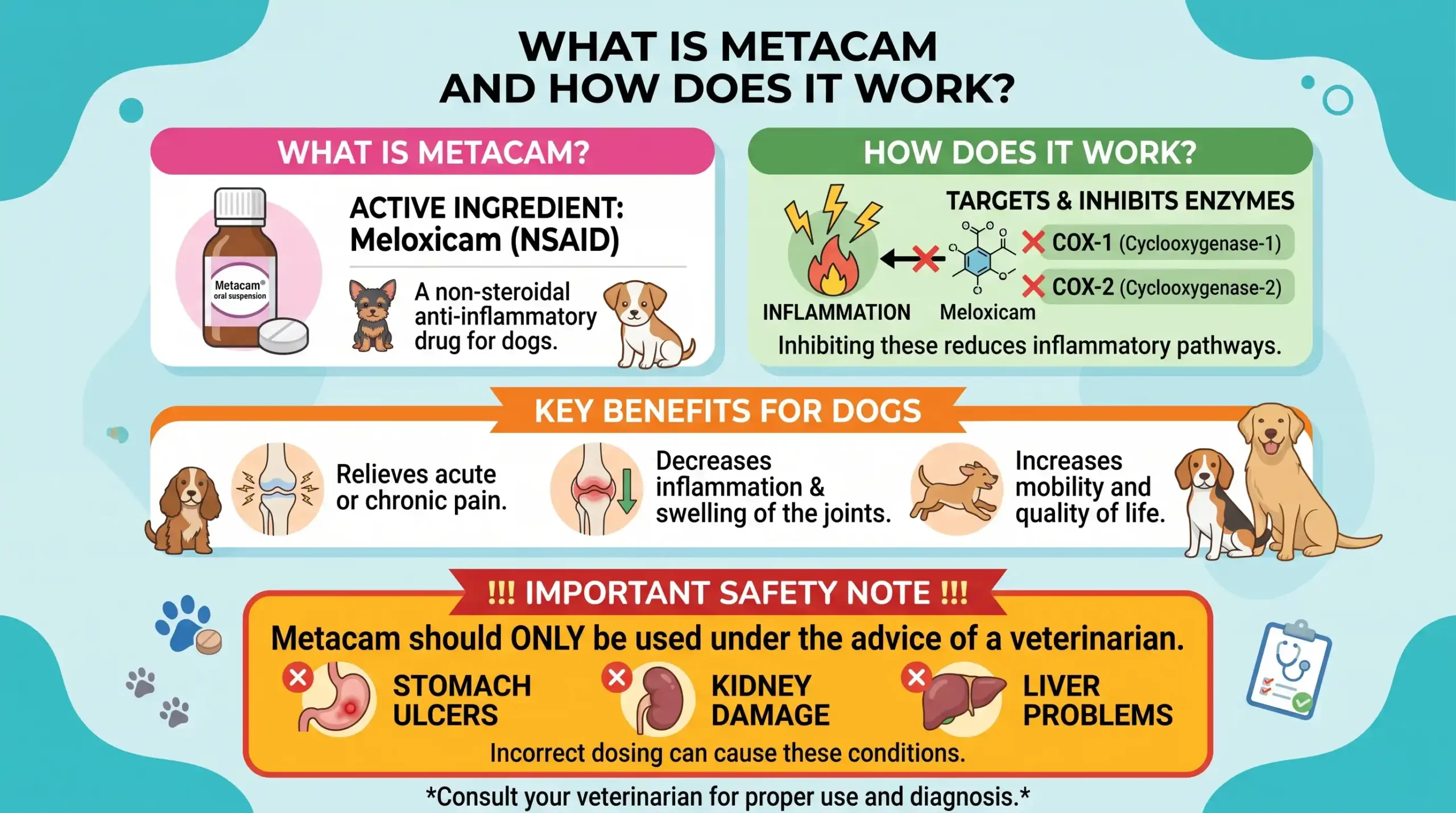 Metacam Dosage Calculator for Dogs: Dosing Chart by Weight 1 What is Metacam and How Does It Work For Dogs