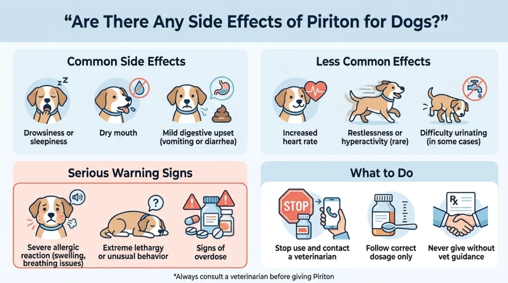 Are There Any Side Effects of Piriton for Dogs
