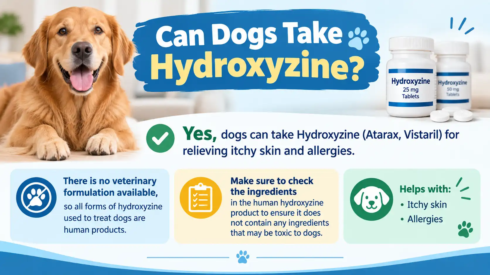 Can Dogs Take Hydroxyzine?