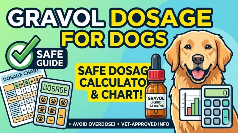Gravol Dosage For Dogs