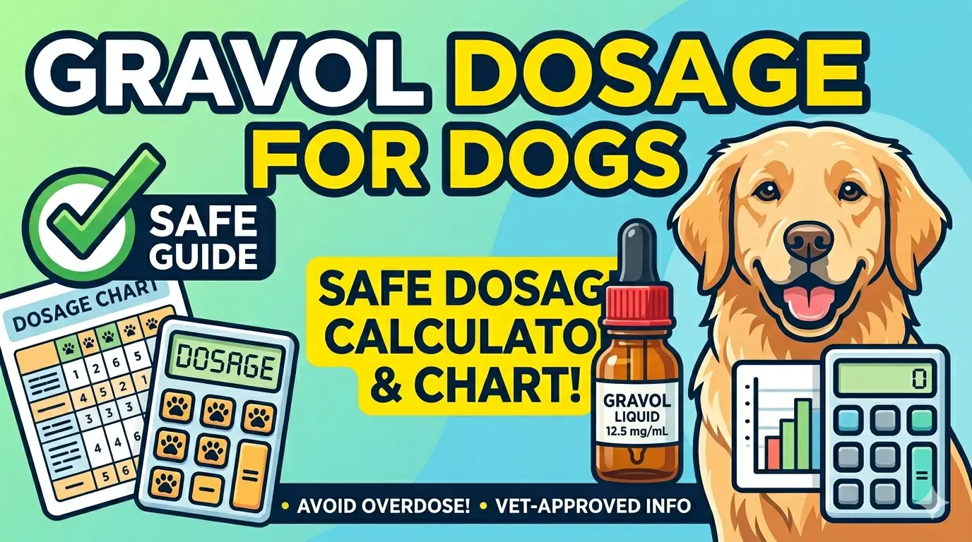 Gravol Dosage For Dogs Calculator: Dosage Chart & Safe Guide