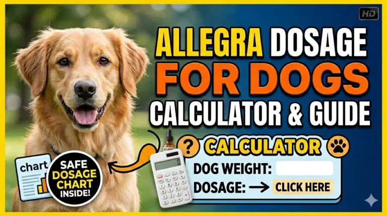 Allegra Dosage For Dogs