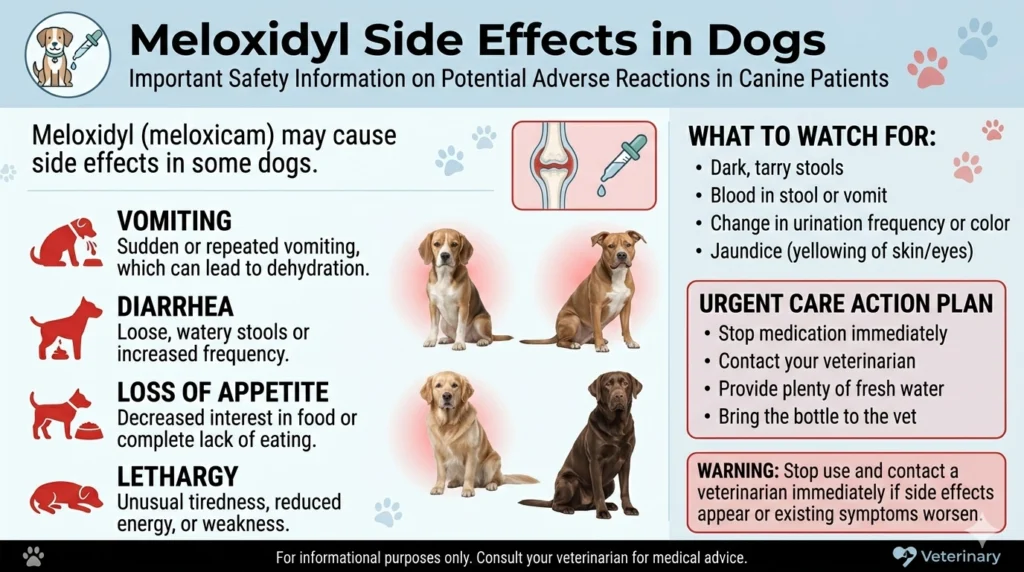 Meloxidyl Side Effects in Dogs