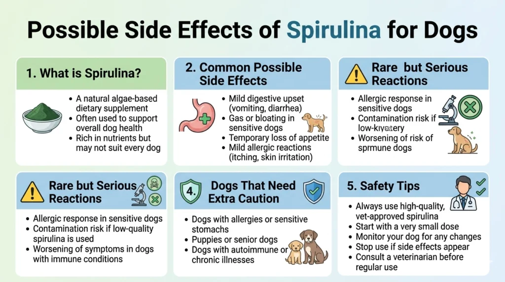 Possible Side Effects of Spirulina for Dogs
