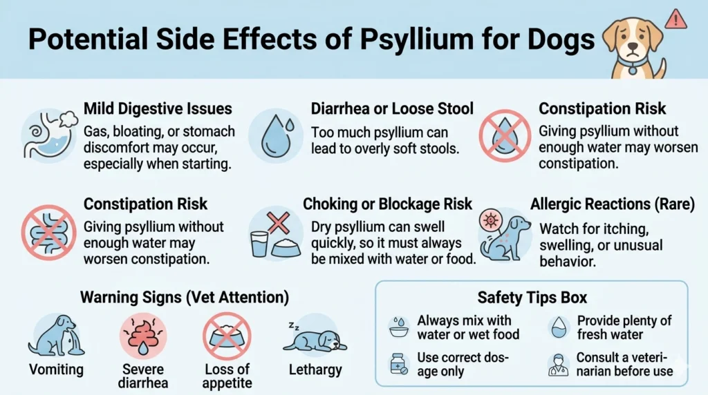 Potential Side Effects of Psyllium for Dogs