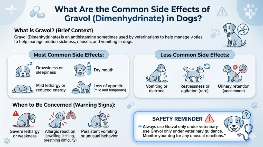 What Are the Common Side Effects of Gravol in Dogs