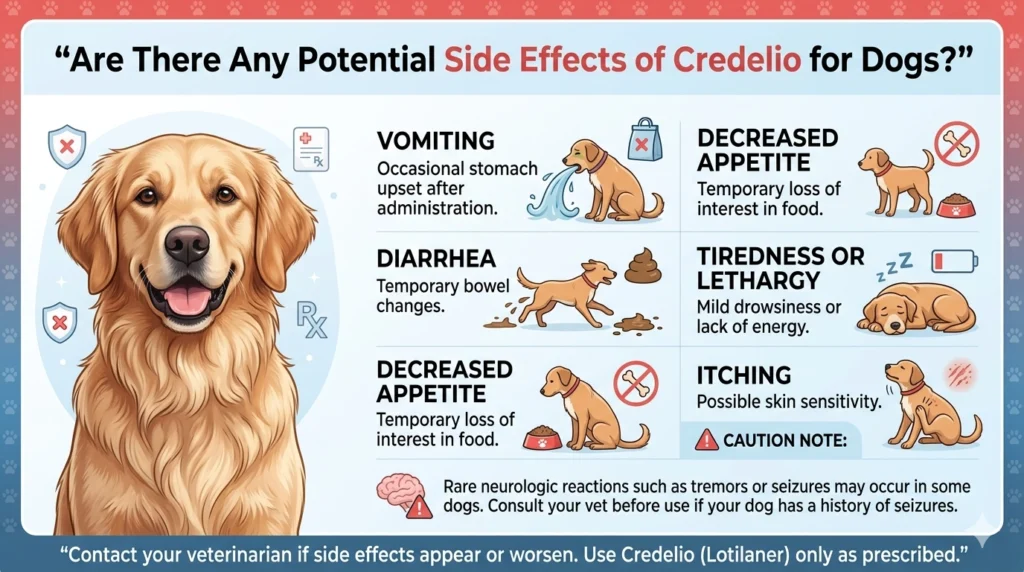 Are There Any Potential Side Effects of Credelio
