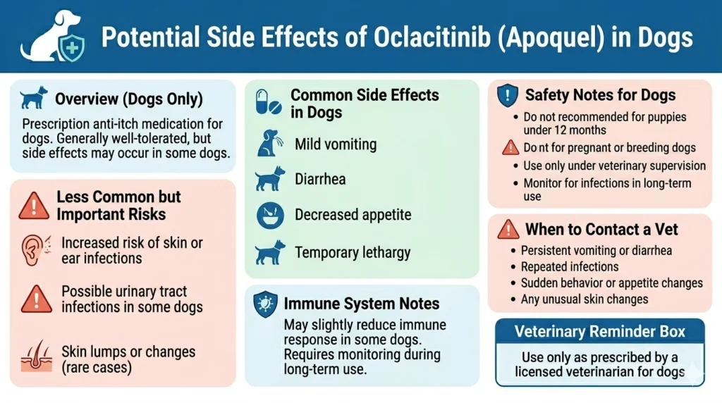 Are There Any Potential Side Effects of Oclacitinib (Apoquel) in Dogs