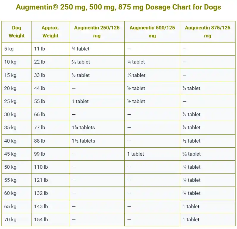 Augmentin Dosage For Dogs Calculator, Chart & Safe Guide 4 Augmentin® 250 mg, 500 mg, 875 mg Dosage Chart for Dogs
