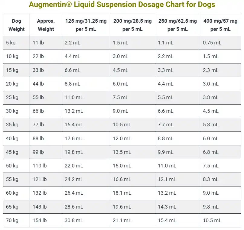 Augmentin Dosage For Dogs Calculator, Chart & Safe Guide 5 Augmentin® Liquid Suspension Dosage Chart for Dogs
