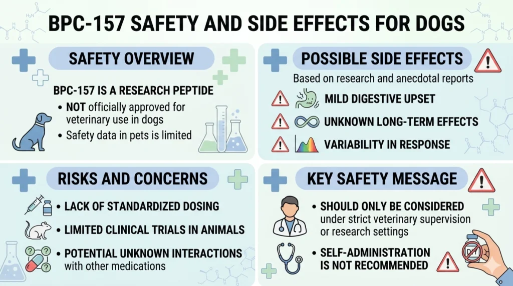 BPC-157 Safety and Side Effects for Dogs