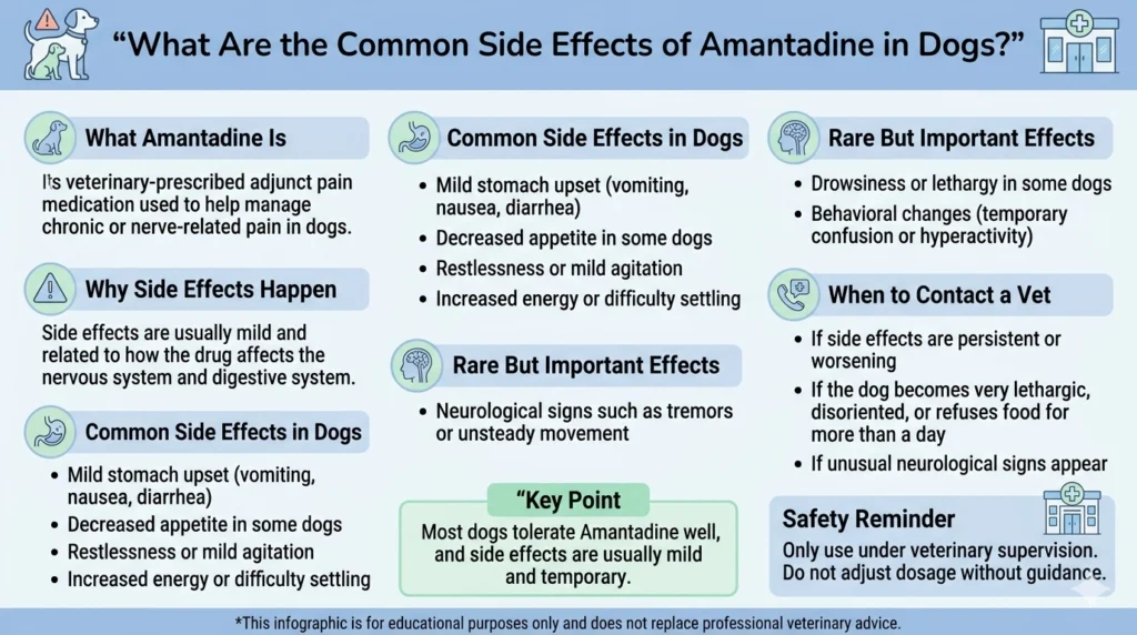 What Are the Common Side Effects of Amantadine in Dogs