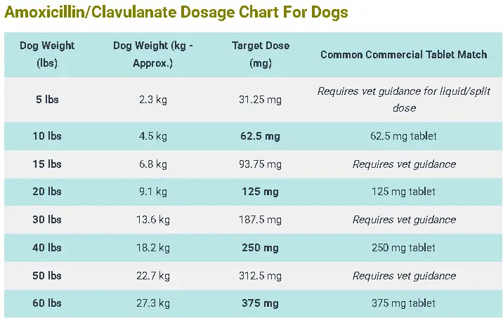 Amoxicillin/Clavulanate Dosage For Dogs Calculator & Safe Guide 4 Amoxicillin & Clavulanate Dosage Chart For Dogs
