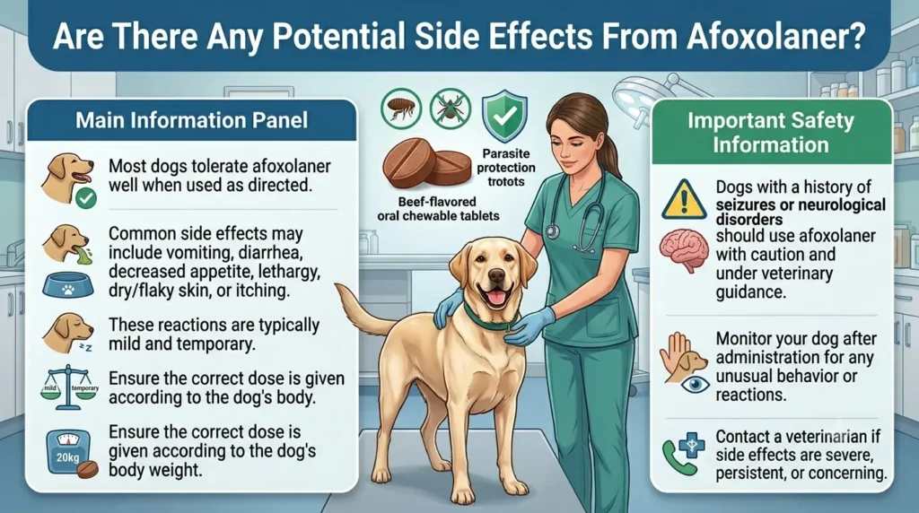 Are There Any Potential Side Effects From Afoxolaner