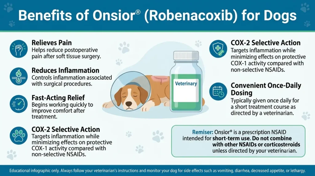 Benefits of Onsior® (Robenacoxib) for Dogs