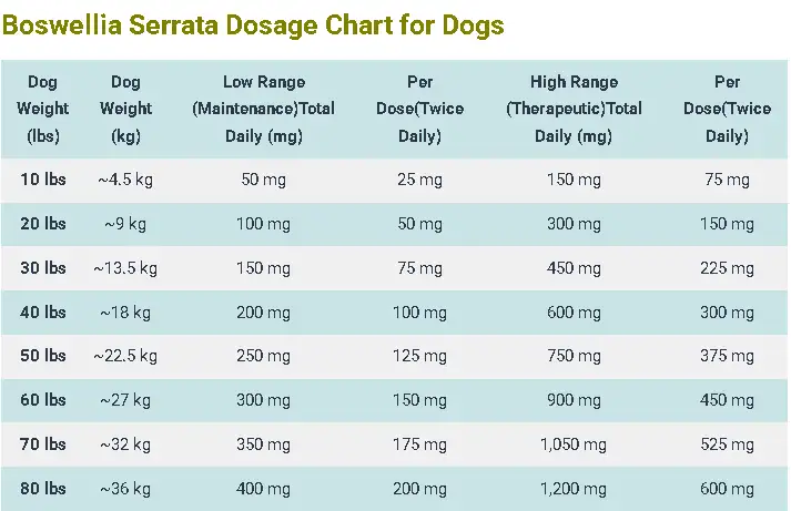 Boswellia Dosage For Dogs: Calculator, Chart & Safe Guide 3 Boswellia Serrata Dosage Chart for Dogs