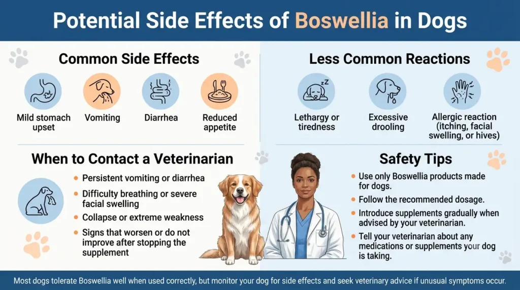 Boswellia Dosage For Dogs: Calculator, Chart & Safe Guide 2 Potential Side Effects of Boswellia in Dogs