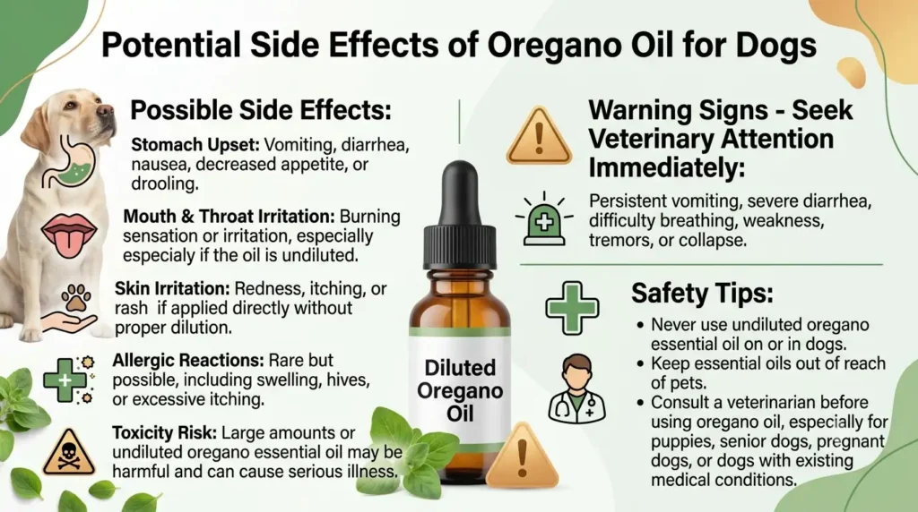 Potential Side Effects of Oregano Oil