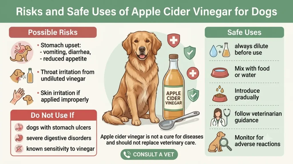 Risks and Safe Uses of Apple Cider Vinegar for Dogs