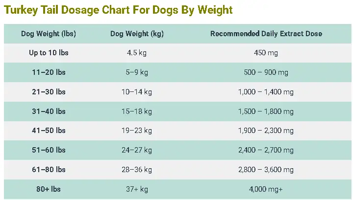 Turkey Tail Dosage For Dogs: Calculator & Complete Guide 4 Turkey Tail Dosage Chart For Dogs By Weight