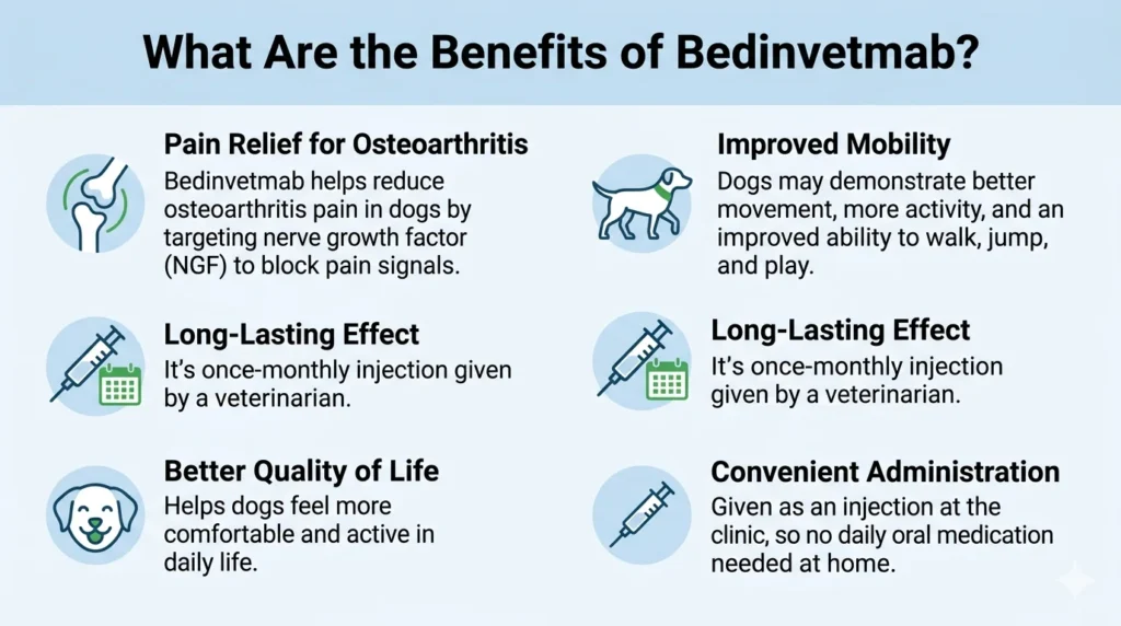 What Are the Benefits of Bedinvetmab