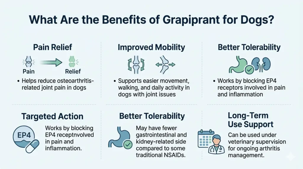 What Are the Benefits of Grapiprant for Dogs