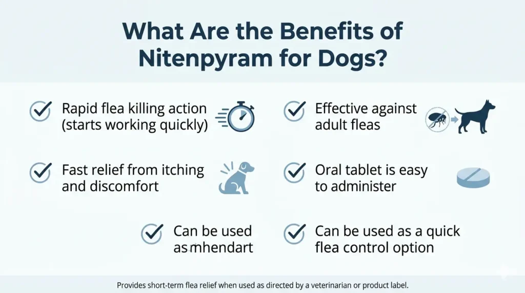 What Are the Benefits of Nitenpyram for Dogs