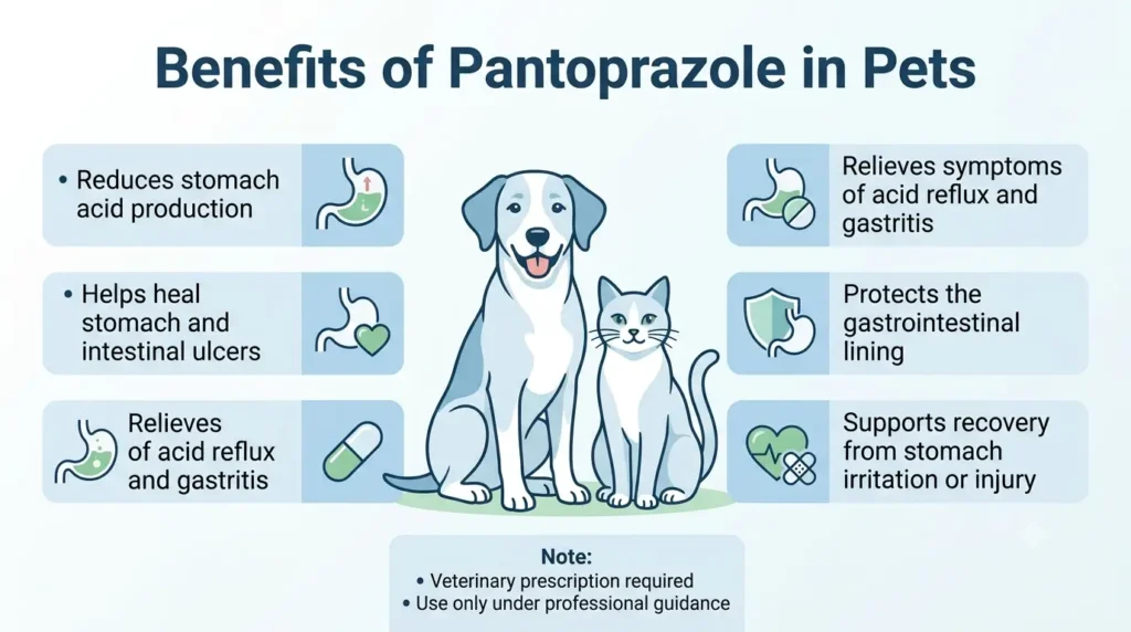 What Are the Benefits of Pantoprazole in Pets