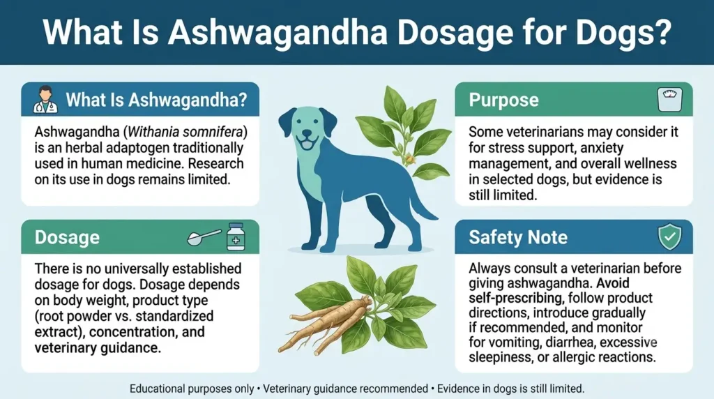 What Is Ashwagandha Dosage For Dogs