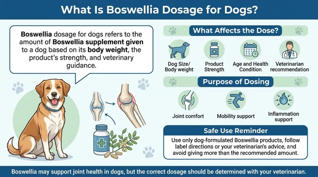Boswellia Dosage For Dogs: Calculator, Chart & Safe Guide 1 What Is Boswellia dosage for dogs