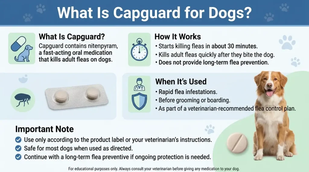 Capguard Dosage For Dogs: Calculator & Safe Dosage Guide 1 What Is Capguard for Dogs
