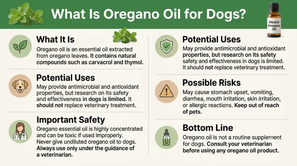 What Is Oregano Oil For Dogs