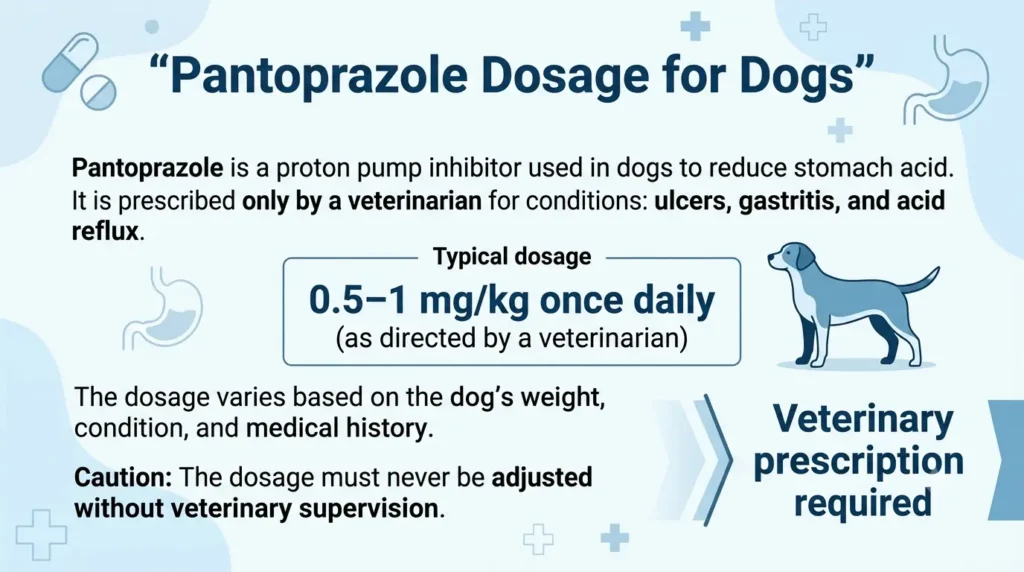 What Is Pantoprazole Dosage For Dogs