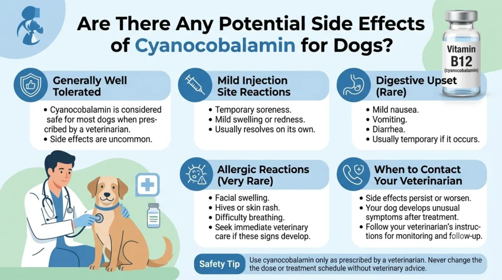 Cyanocobalamin Dosage For Dogs: Calculator & Safe Guide 3 Are There Any Potential Side Effects of Cyanocobalamin for Dogs