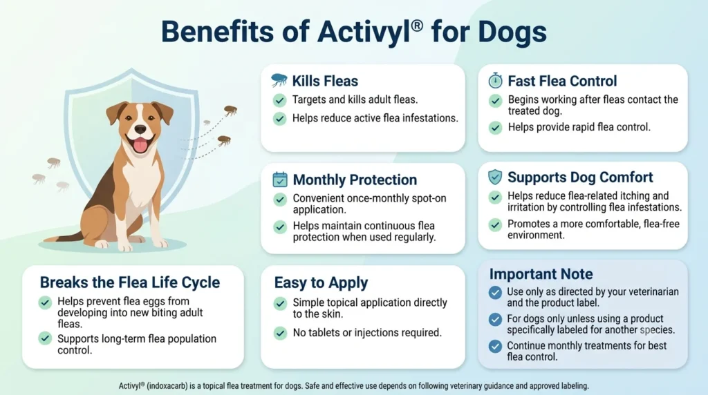 Benefits of Activyl for Dogs